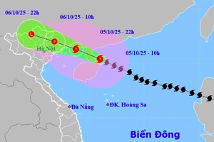 Bão số 11 đổ bộ vào Quảng Ninh trong đêm nay và suy yếu dần