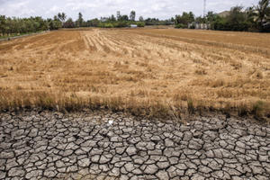 Ứng phó nguy cơ hạn hán, thiếu nước, xâm nhập mặn ở Đồng bằng sông Cửu Long