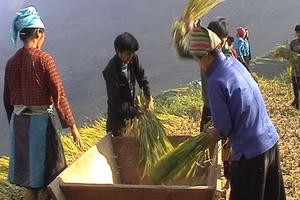 Phó Thủ tướng Vũ Văn Ninh yêu cầu làm rõ phạm vi Chương trình giảm nghèo bền vững