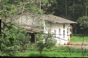 Địa ốc 7AM: Rừng phòng hộ Long Thành bị tỉa “quá tay”, đất phố cổ Hà Nội bán giá bèo