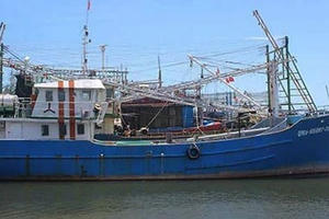 Hàng loạt chủ tàu cá vỏ thép bị ngân hàng “níu áo”: “Việc khởi kiện, thu hồi tàu không có lợi cho cả hai phía”