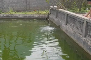 Yên Bái: Xót thương bé trai 4 tuổi bị đuối nước thương tâm