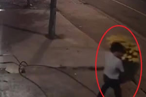 Clip: Ngán ngẩm với cảnh người đàn ông ăn mặc lịch sự đánh ô tô trộm hoa ngày tết