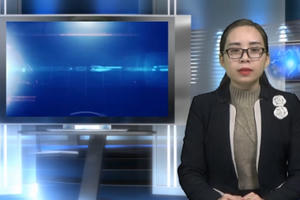 Bản tin Pháp luật: Đầu năm lại "nóng" chuyện xe công sử dụng sai mục đích