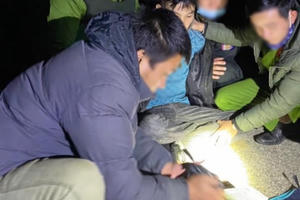 Bí mật "động trời" trong cốp xe máy đang phóng về xuôi giữa đêm lạnh giá Bí mật "động trời" trong cốp xe máy đang phóng về xuôi giữa đêm lạnh giá