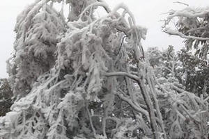 Bảo đảm an toàn cho người già, trẻ nhỏ, học sinh khi trời rét hại