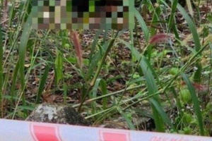 Bình Thuận: Phát hiện một người đàn ông tử vong trong khu rừng tràm