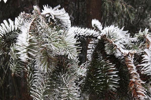 Miền Bắc chuẩn bị đón đợt rét hại, khả năng xuất hiện mưa tuyết, băng giá