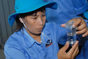 Chuẩn bị thả muỗi ngăn ngừa sốt xuất huyết