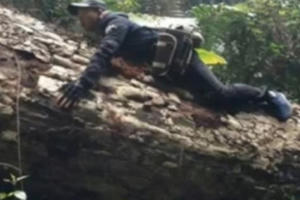 Điểm báo ngày 13/3/2017: "Vương quốc" nghiến khổng lồ cuối cùng bị tàn phá