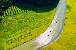 Du lịch mùa lúa chín