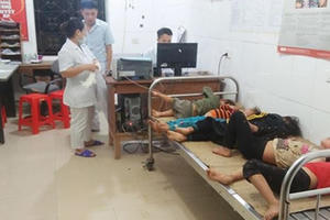 Nghệ An: Bị ong tấn công, 7 người phải nhập viện