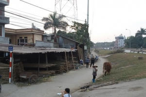 Đề xuất sửa đổi quy định xử phạt vi phạm về phòng, chống thiên tai, bảo vệ đê điều