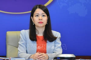 Thứ trưởng Bộ Ngoại giao Nguyễn Minh Hằng kiêm thêm nhiệm vụ mới