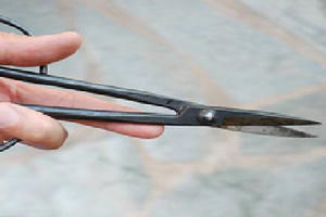 Nghi án mâu thuẫn lúc nhậu, vợ đâm chồng hờ tử vong