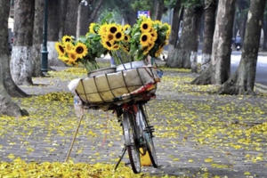 Thu Hà Nội - Mùa gây thương nhớ