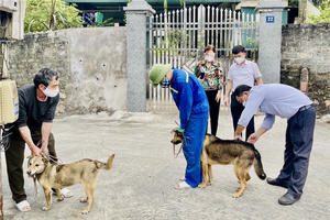 Đầu năm 2024, đã có gần 70.000 người phải điều trị dự phòng bệnh Dại