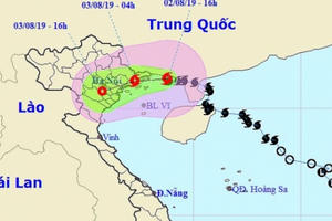 Bão giật cấp 12 áp sát Móng Cái, đổ bộ Quảng Ninh - Nam Định trong đêm