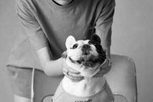 Bùng nổ ngành dịch vụ cho chó nhà giàu