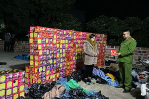 Bắt giữ người phụ nữ tàng trữ hơn 1 tấn pháo nổ trái phép