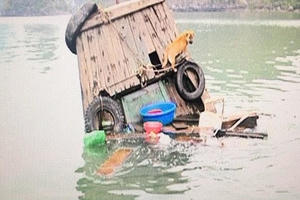 Chiêu trốn chạy khiến Thanh tra vịnh Hạ Long 'chết lặng'