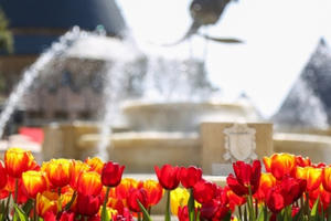 Sun World Ba Na Hills tri ân khách hàng Quảng Nam - Đà Nẵng trong tháng 3