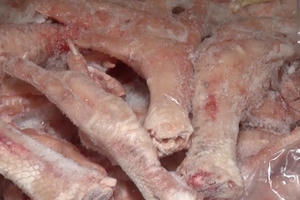 Hơn 2 tấn trân châu, cánh gà thối chuẩn bị vào quán ăn