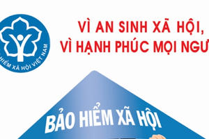 Có được lựa chọn hưởng chế độ hưu trí hoặc BHXH 1 lần?