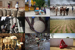 200 người bị bắt trong chiến dịch chống Mafia tại Ý và Đức