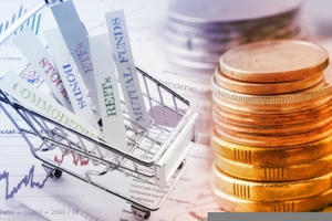 Vốn đầu tư của Việt Nam ra nước ngoài đạt 474,1 triệu USD trong 11 tháng năm 2022