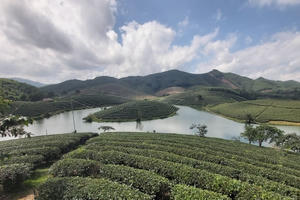 Vì sao dự án ngàn tỷ bất động?