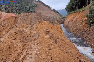 UBND huyện Văn Yên chỉ đạo xử lý nghiêm hành vi lấy đất rừng đi lấp ruộng trái phép