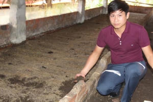 Bài thuốc quý chữa huyết áp cao từ dược liệu sạch