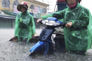 Nắng nóng kỷ lục trong năm 2020