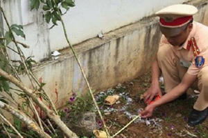 Công an triệu tập thầy giáo lùi xe trong trường học cán hai học sinh thương vong