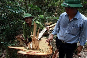 Không để “việc đã rồi”!