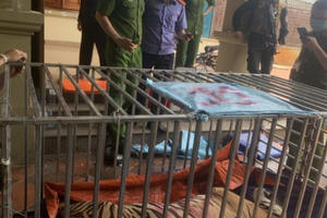 Cận cảnh căn nhà nuôi 17 “chúa sơn lâm” trái phép bị Công an Nghệ An triệt phá