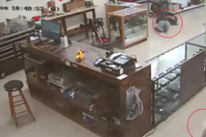 [Clip]: Bị bắn chết vì ngang nhiên cướp tiệm súng