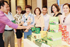 Kết nối giao thương cho các Hợp tác xã