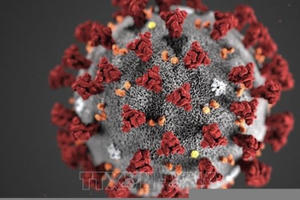 Đánh giá sơ bộ của WHO về các dòng phụ BA.4 và BA.5 của biến thể Omicron