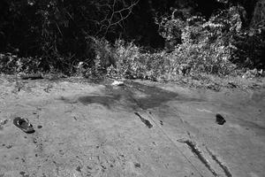 Công an Bắc Ninh thông tin ban đầu về vụ giết người xảy ra tại phường Vân Hà