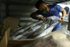 Hàng ngàn tấn hải sản “hóa đá” trong kho lạnh, chủ hàng lo bể nợ