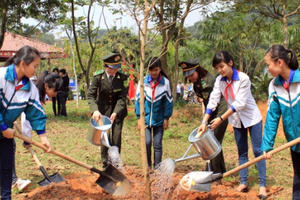 Tiếp tục đẩy mạnh phong trào trồng cây xanh trong ngành Giáo dục