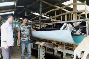 Hà Giang: Huyện Quang Bình làm tốt công tác giải quyết việc làm cho người lao động