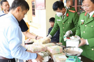 Hà Tĩnh: Bắt giữ 2 đối tượng vận chuyển trái phép 31 kg ma túy