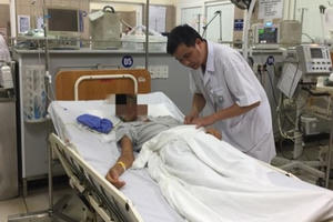 Chuyên gia chống độc chỉ cách xử lý khi bị ong đốt Chuyên gia chống độc chỉ cách xử lý khi bị ong đốt