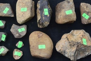 Phát hiện 4 di tích người tiền sử ở Bắc Kạn