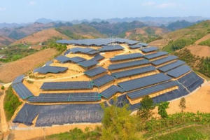 Báo động làm điện mặt trời dưới vỏ bọc trang trại Báo động làm điện mặt trời dưới vỏ bọc trang trại