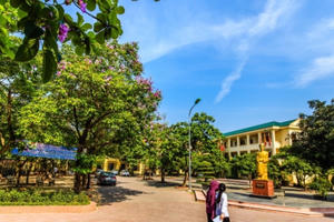 102 thí sinh Nghệ An tham dự Kỳ thi chọn học sinh giỏi quốc gia năm 2022