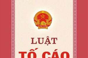 Tố cáo sai sự thật, xử lý thế nào?